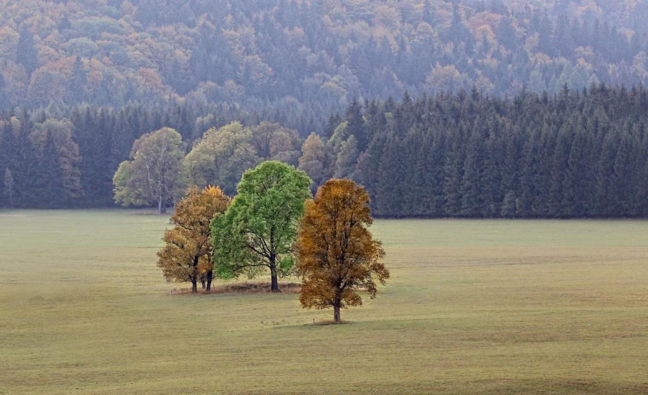 Przystanek Lasowka Esterno foto